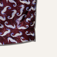Swim Shorts Seahorse Burgundy