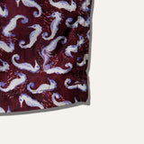 Swim Shorts Seahorse Burgundy