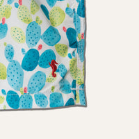 Swim Shorts Cactus