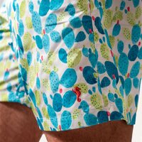 Swim Shorts Cactus