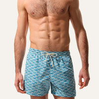 Swim Shorts Sardine