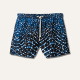 Swim Shorts Whale Shark (Night)